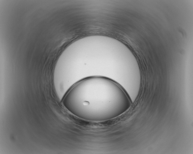 X0000115700215200911121411