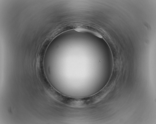 X0000115700217200911121411