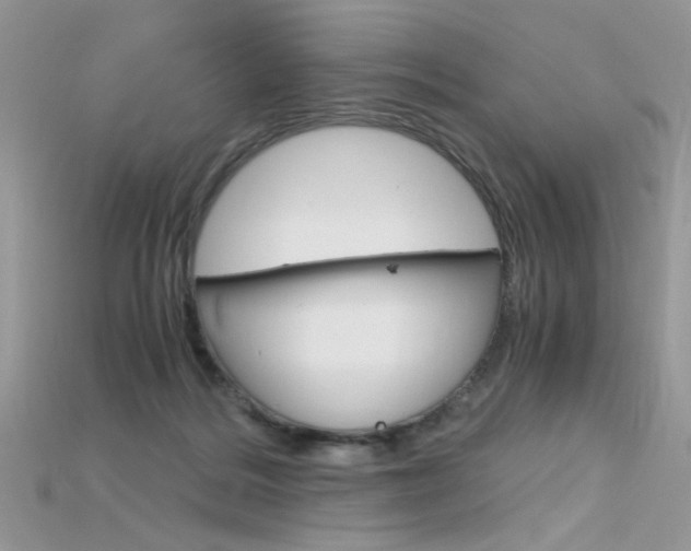 X0000115700220200911121411