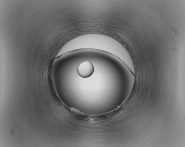 X0000115700221200911121411