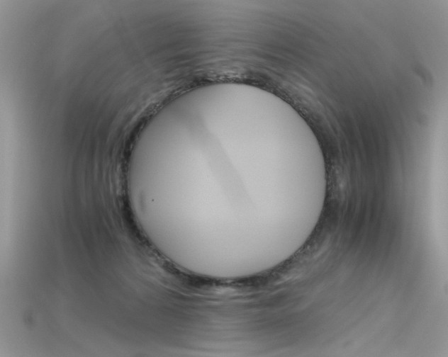 X0000115700224200911121411