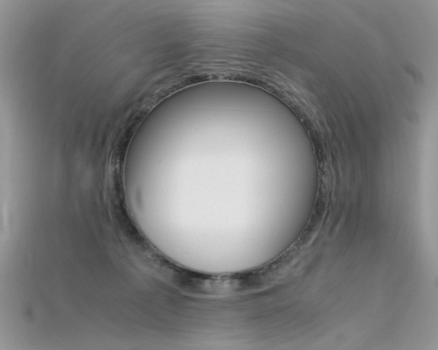 X0000115700225200911121411