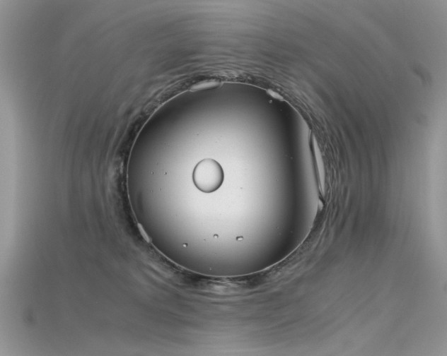 X0000115700229200911121411