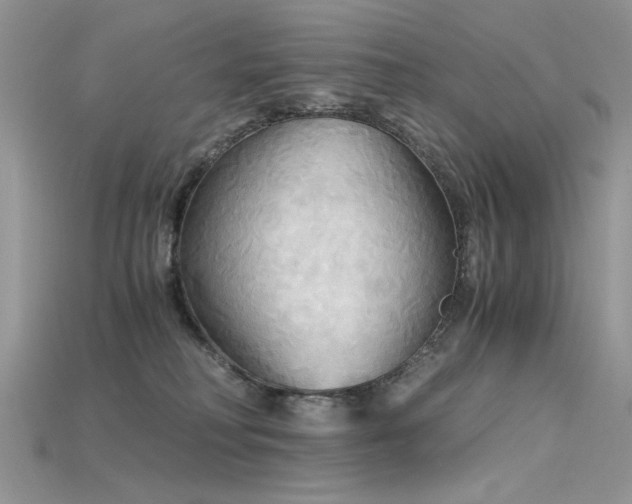 X0000115700230200911121411