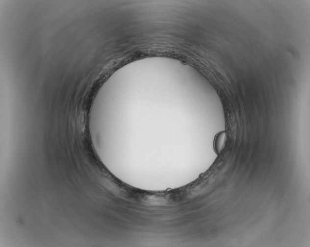 X0000115700232200911121411