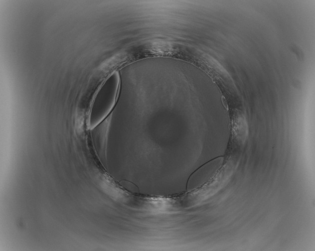 X0000115700233200911121411