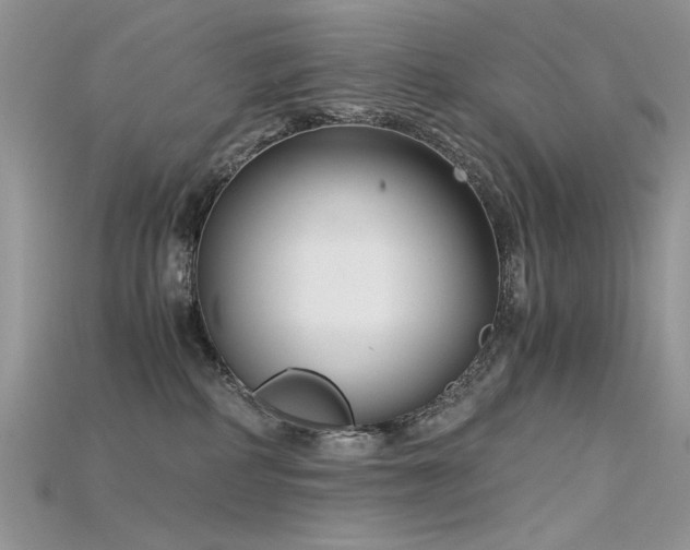 X0000115700234200911121411