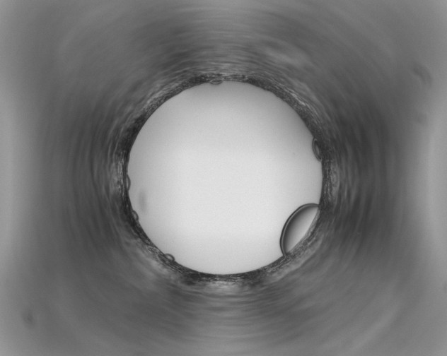 X0000115700236200911121411