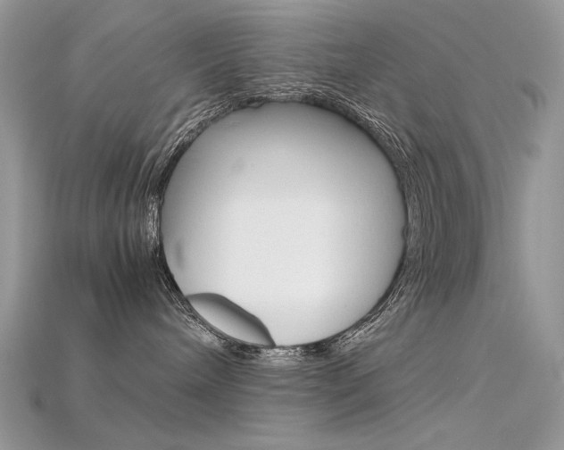 X0000115700240200911121411