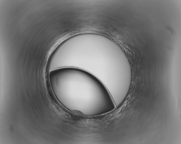 X0000115700244200911121410