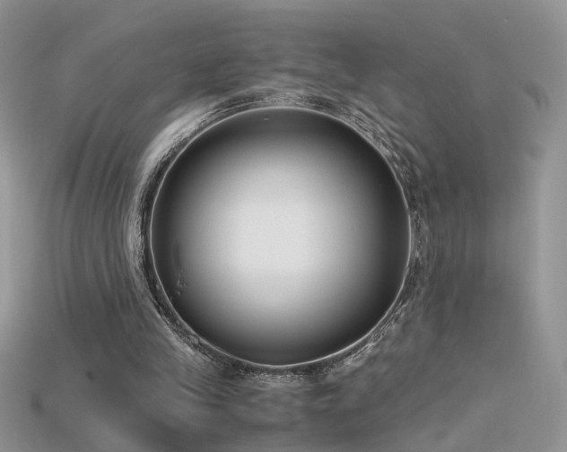 X0000115700245200911121410