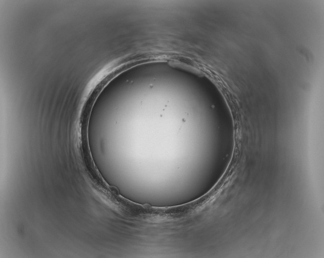 X0000115700246200911121410