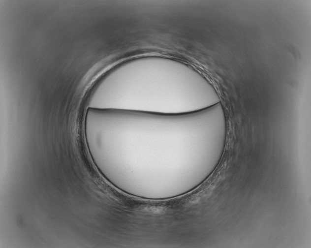 X0000115700247200911121410