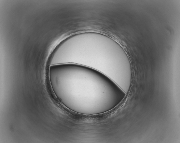 X0000115700248200911121410