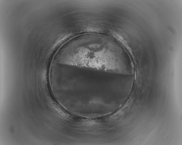 X0000115700249200911121410