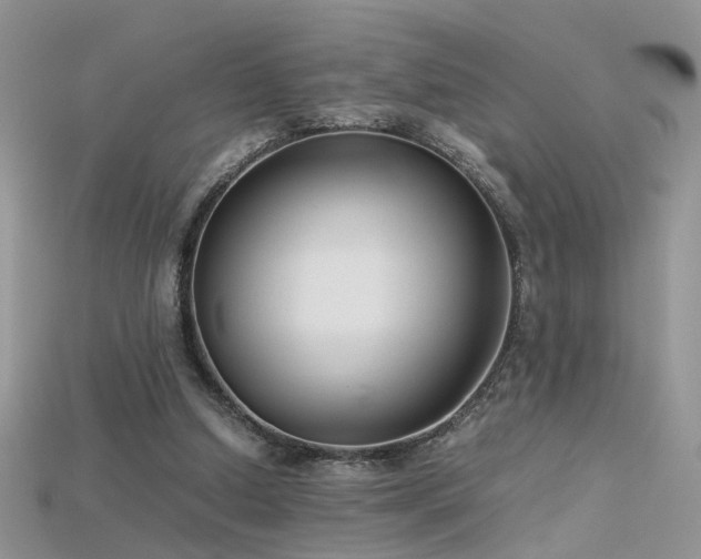 X0000115700250200911121410