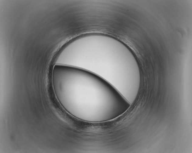 X0000115700252200911121410