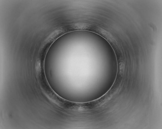 X0000115700254200911121410