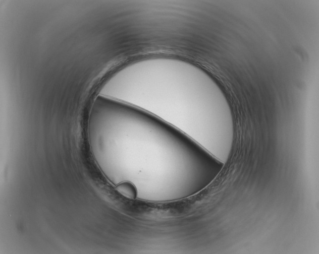 X0000115700256200911121410