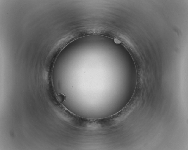 X0000115700258200911121410