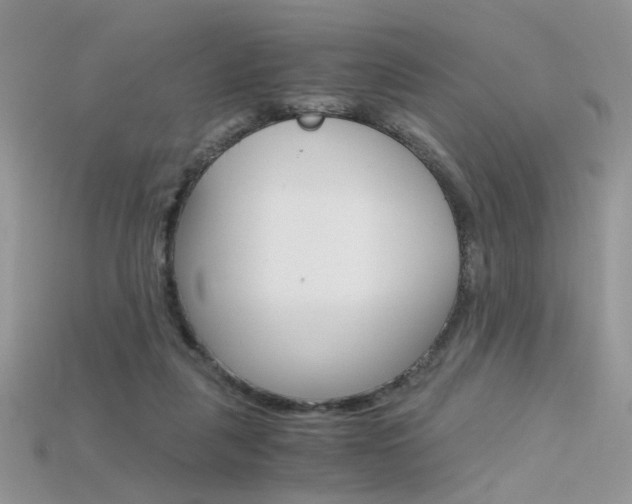 X0000115700259200911121410