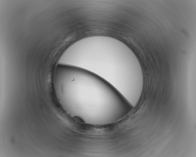 X0000115700260200911121410