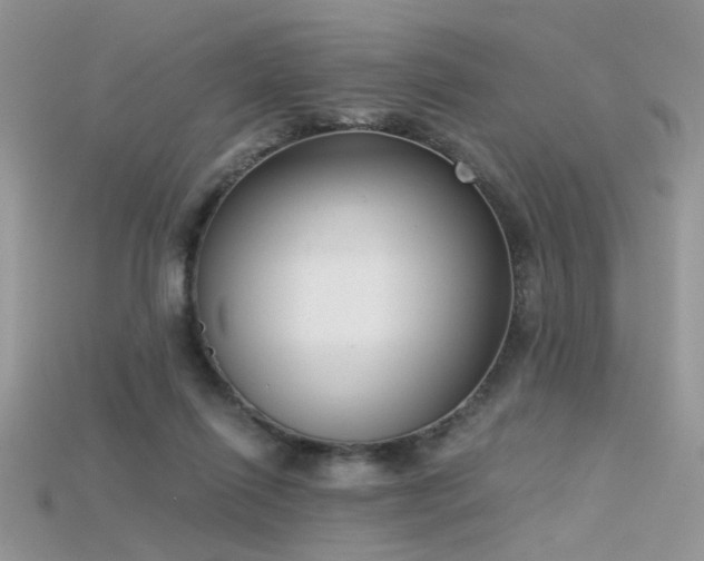 X0000115700262200911121410