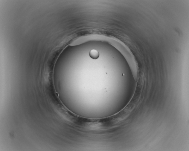 X0000115700266200911121411