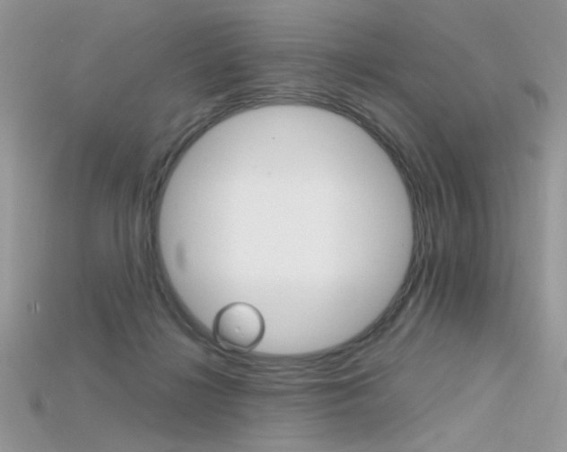 X0000115700268200911121411