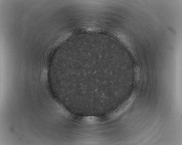 X0000115700269200911121411