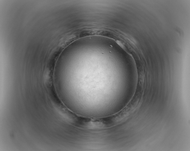 X0000115700270200911121411