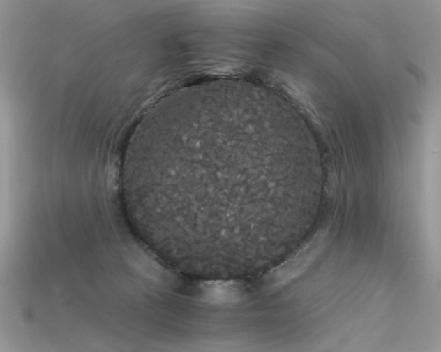 X0000115700273200911121411