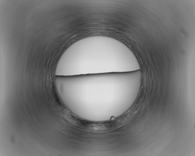 X0000115700275200911121411