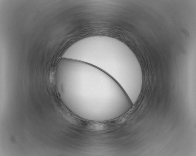 X0000115700276200911121411