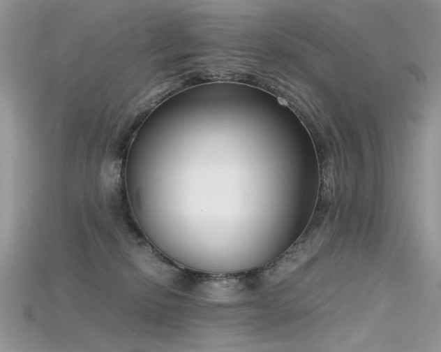 X0000115700278200911121411