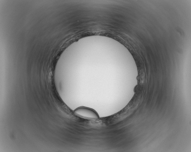 X0000115700279200911121411