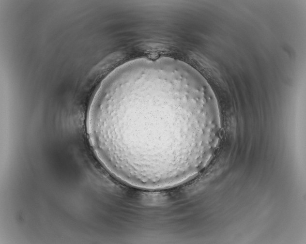 X0000115700281200911121411