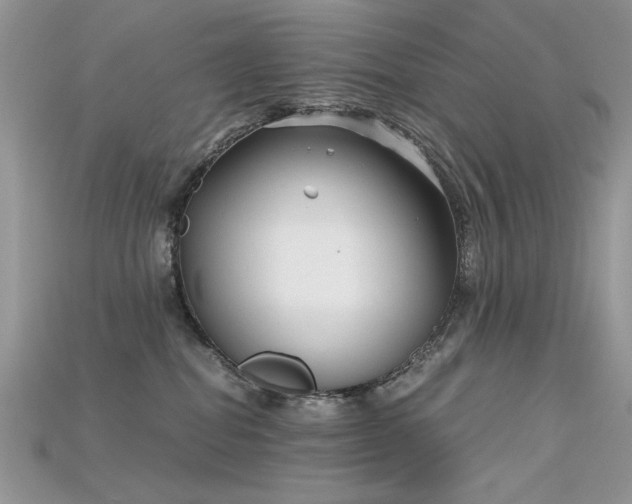 X0000115700282200911121411