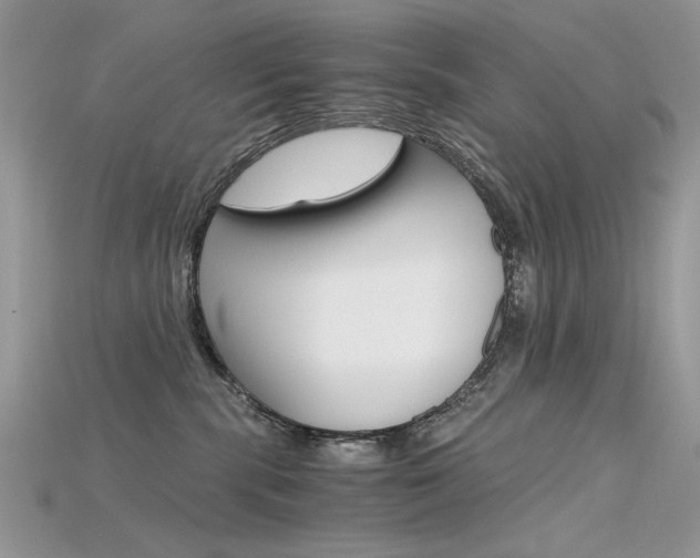 X0000115700283200911121411