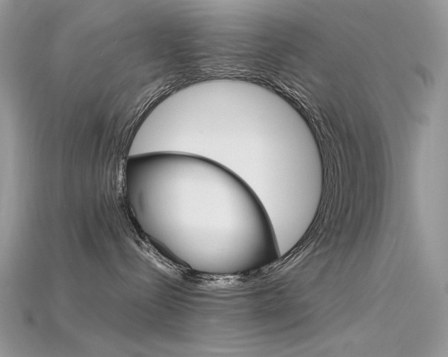 X0000115700288200911121411