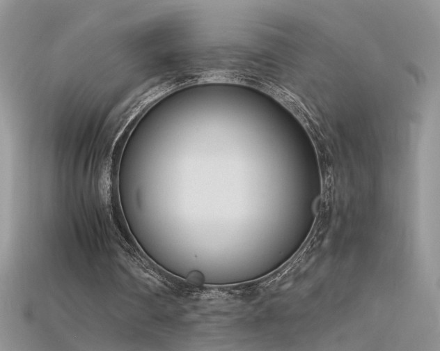 X0000115700290200911121410