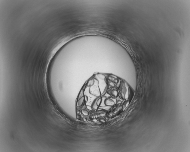 X0000115700292200911121410