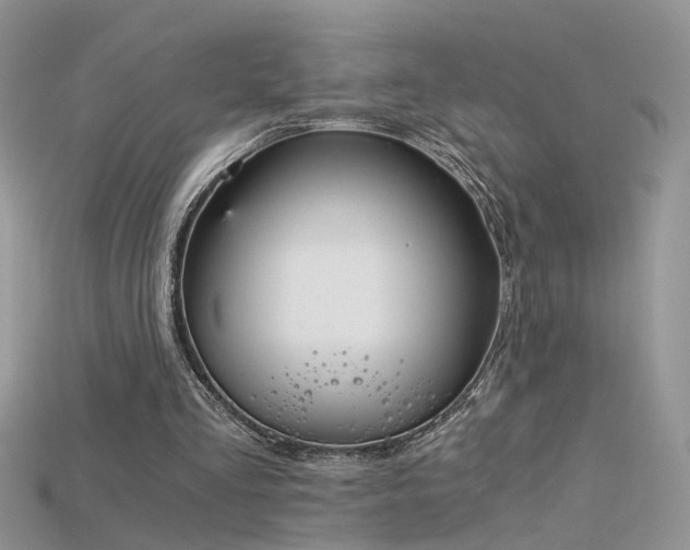 X0000115700293200911121410