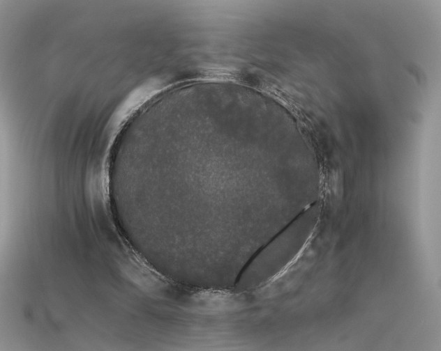 X0000115700294200911121410