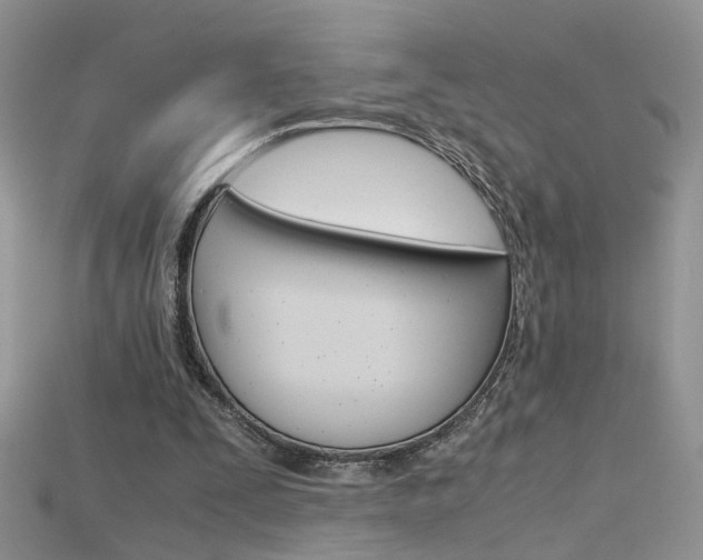 X0000115700295200911121410