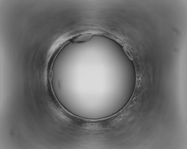 X0000115700296200911121410