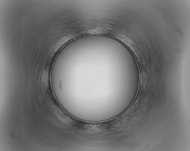 X0000115700297200911121410