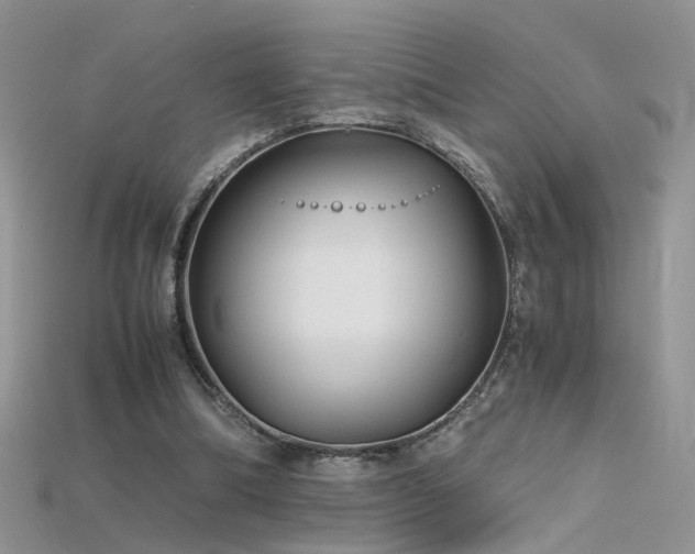 X0000115700298200911121410