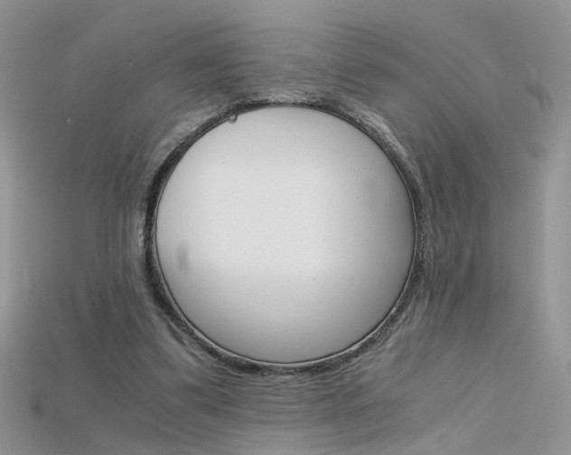 X0000115700299200911121410