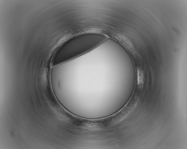 X0000115700300200911121410